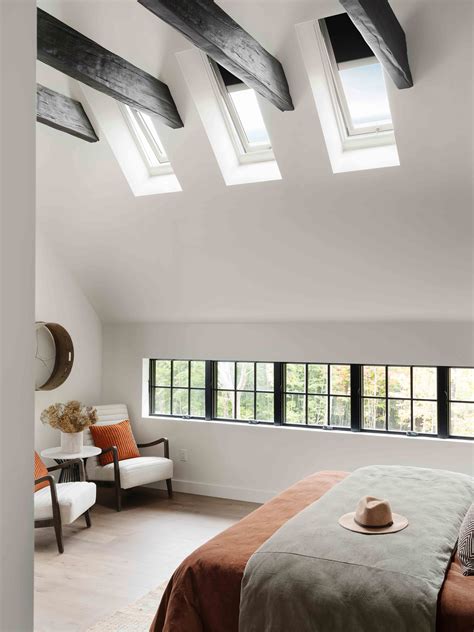 Skylight Window