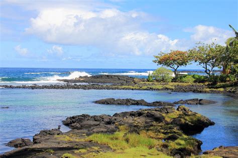 Snorkeling in Hilo - Great Place to See Turtles