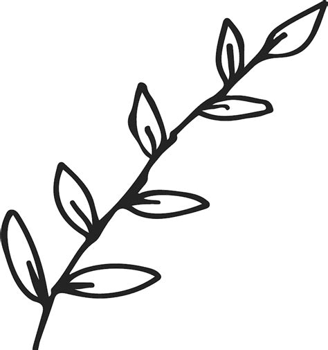 Jpg Black And White Stock Branch Transparent Outline - Black Leaves Outline Transparent Clipart ...