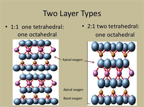 Phyllosilicate clays