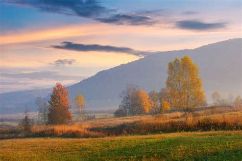 What Is An Indian Summer? | IFLScience