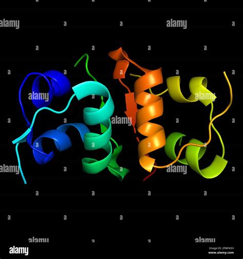 Insulin peptide human hormone molecule 3D render chemical structure ...