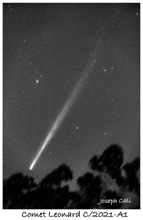 Comet Leonard 2021-A1 - Sky & Telescope - Sky & Telescope