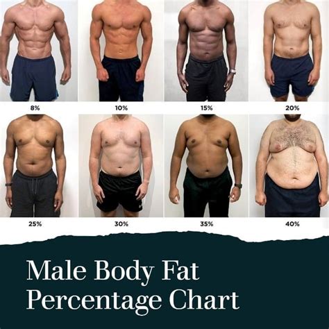 The Visual Guide to Understanding Body Fat Percentage