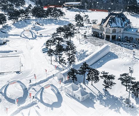 Vivaldi Park Snowy Land Guide: Winter Wonderland in Korea - Trazy Blog