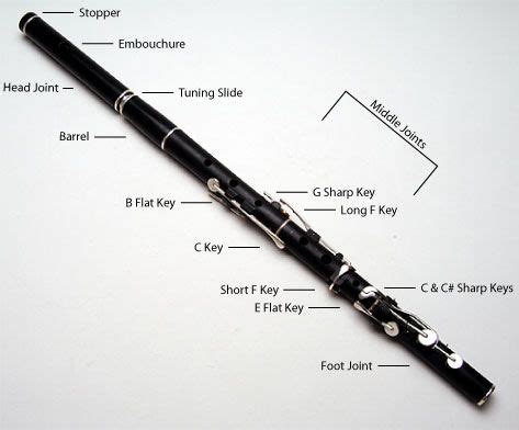 Foundational Irish Flute Course – Blayne Chastain | Irish flute, Flute ...