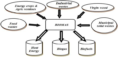 Biomass sources and products (see online version for colours) | Download Scientific Diagram