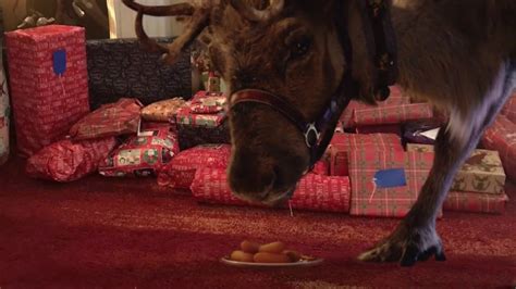 REINDEER EATING CARROTS ON XMAS EVE - YouTube