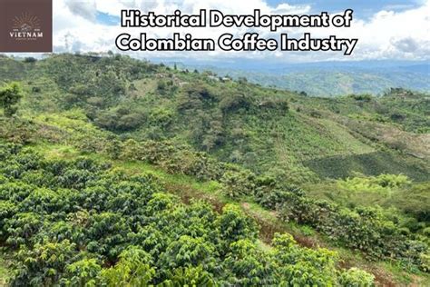 Coffee Production in Colombia