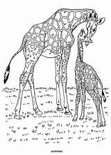 Animal Coloring Pages Free Printable sketch template