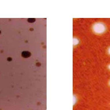 (PDF) CRUDE OIL EMULSIONS TREATMENT METHODS