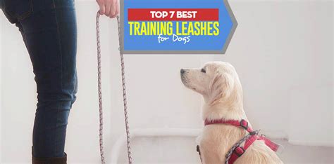 Top 7 Best Dog Training Leash for Puppies and Adult Dogs in 2018