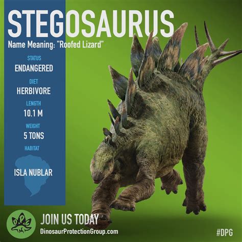 Stegosaurus stenops “gigas” (*) (S/F) / (S/F-S) – Jurassic-Pedia