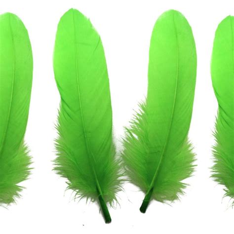 Lime Green Feathers for arts and crafts