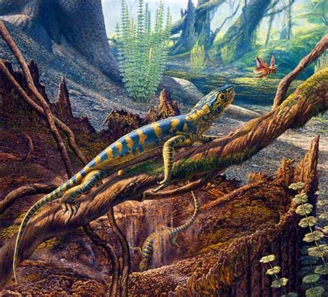 l'evoluzione dei vertebrati on emaze