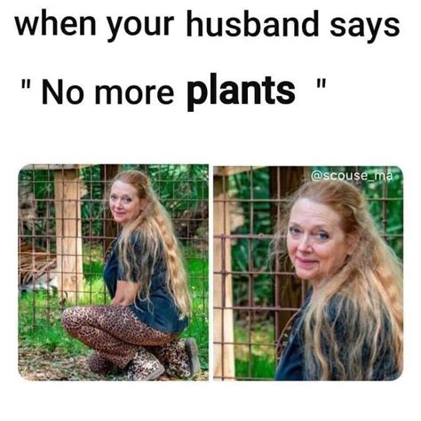 Yes she did it. : houseplants | Gardening memes, Plants, Plant jokes