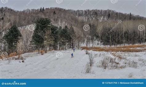 Winter Scenery of Mohe County, China Stock Photo - Image of natural ...