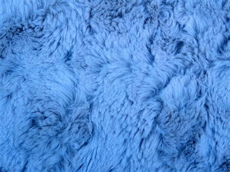 Blue Fur Background Free Stock Photo - Public Domain Pictures