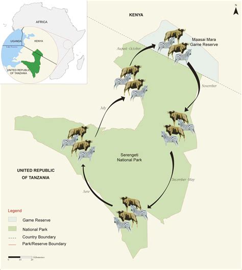 Migration map – SERENGETI – MARA FLY CAMPS