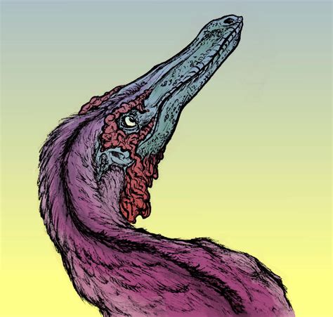 Unspecific Dromaeosaurid coloured by ThisGuyDraws on DeviantArt