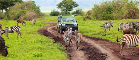 Africa Safari Tour – A peek into the wildlife diversity