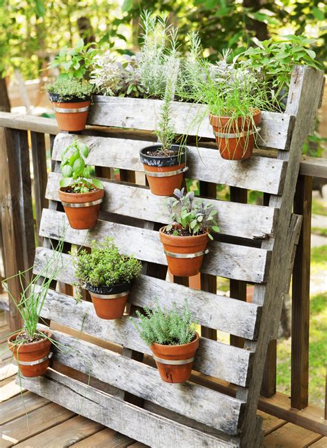 12 Easy Container Garden Ideas for Every Outdoor Space | Pallets, Container gardening and Gardens