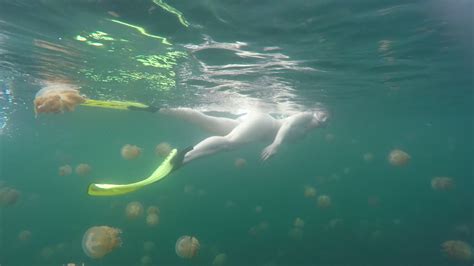 Go Pro Underwater Snorkeling with jellyfish, Jellyfish Lake, Palau, Caroline Islands, Micronesia ...