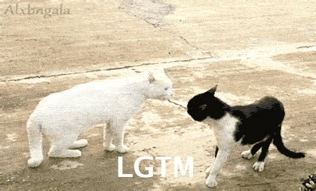 LGTM CAT