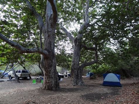 Sycamore Canyon Campground (Malibu, CA) - Reviews & Photos - TripAdvisor