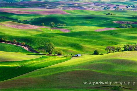 Spring in the Palouse | Palouse, Favorite places, Photo