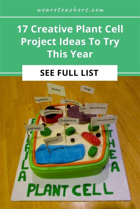 17 Creative Plant Cell Project Ideas To Try This Year