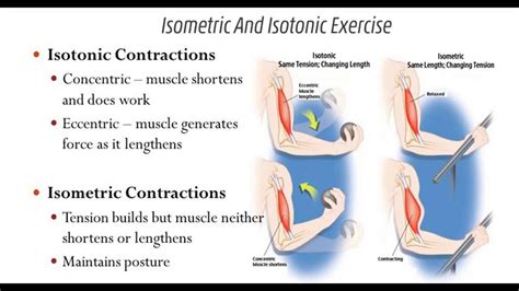 WHAT IS ISOMETRIC AND ISOTONIC EXCERCISES - YouTube