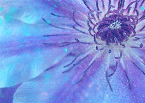 Glitter Flower Wallpaper by Friska245 on DeviantArt