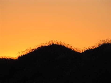 Grass on the hills at sunset | Sunset, Outdoor, Celestial