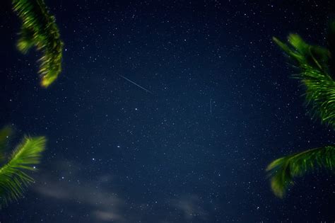 Shooting Stars Royalty-Free Stock Photo