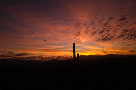 Mike's Epic Road Trips - November 2019 - The Roof of the Rincons: Hiking the Tanque Verde Ridge ...