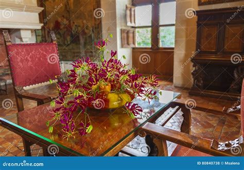 Chenonceau castle interior editorial stock photo. Image of loire - 80840738