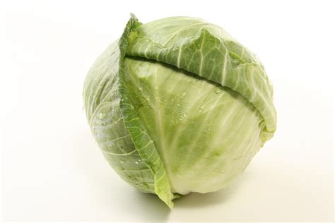 Cabbage Wallpapers - Wallpaper Cave