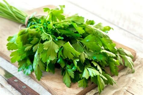 5 Benefits of Drinking Parsley Tea; Know Its Recipe - News18