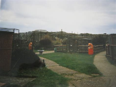 Sandown Zoo Feb 1998. - ZooChat