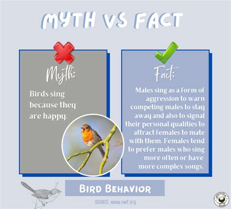 Myth vs Fact – Grateful Gnome