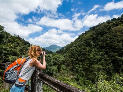 9 Unique Things to Do in the Blue Mountains in Jamaica