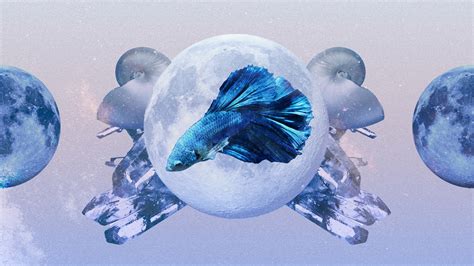 Pisces Monthly Horoscope for August 2023 — Read Your Sign's Love and Career Predictions | Allure