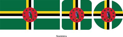 Dominica flag, vector illustration 5266016 Vector Art at Vecteezy