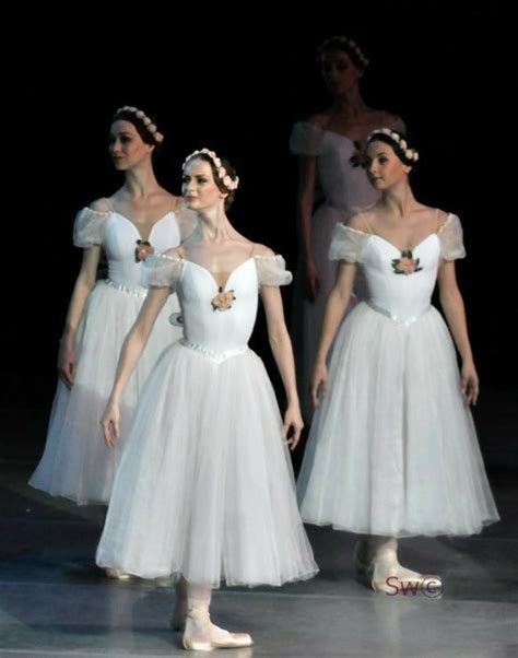 Pin di Amanda Feltham su costumes | Costumi danza, Ballerine classiche, Immagini di danza