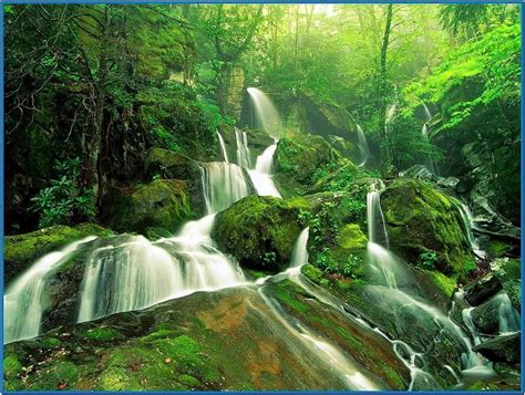 Beautiful Nature Screensavers - Download-Screensavers.biz