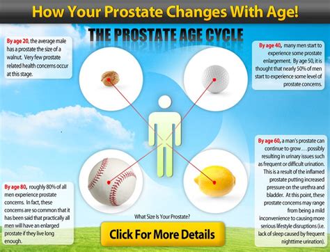 Average Prostate Size | Healthy Prostate Size | MedixSelect