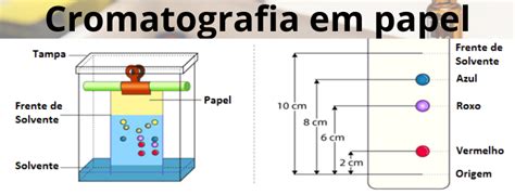 Cromatografia em papel