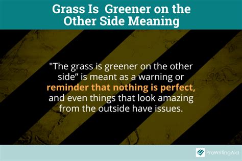 Grass Aint Greener Onnthe Other Side Shtios Blue - Samuels Beess1999