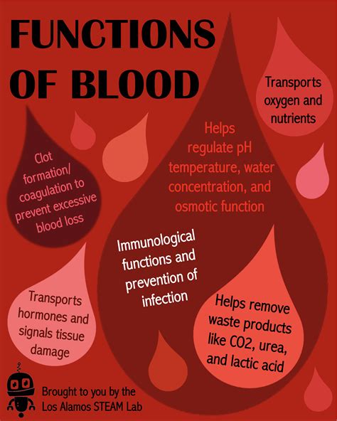 All About Blood – Los Alamos STEAM Lab